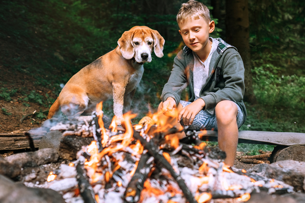 Tamarac Bay Resort in Minnesota is a Dog Friendly resort.